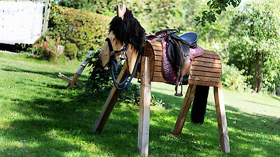 Holzpferd für Kinder